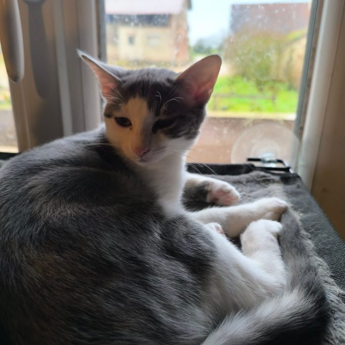 612582525_1251663543675303_5994546587117764226_n