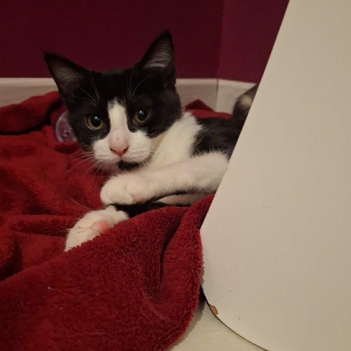 613201040_1251663683675289_8012544815632560807_n