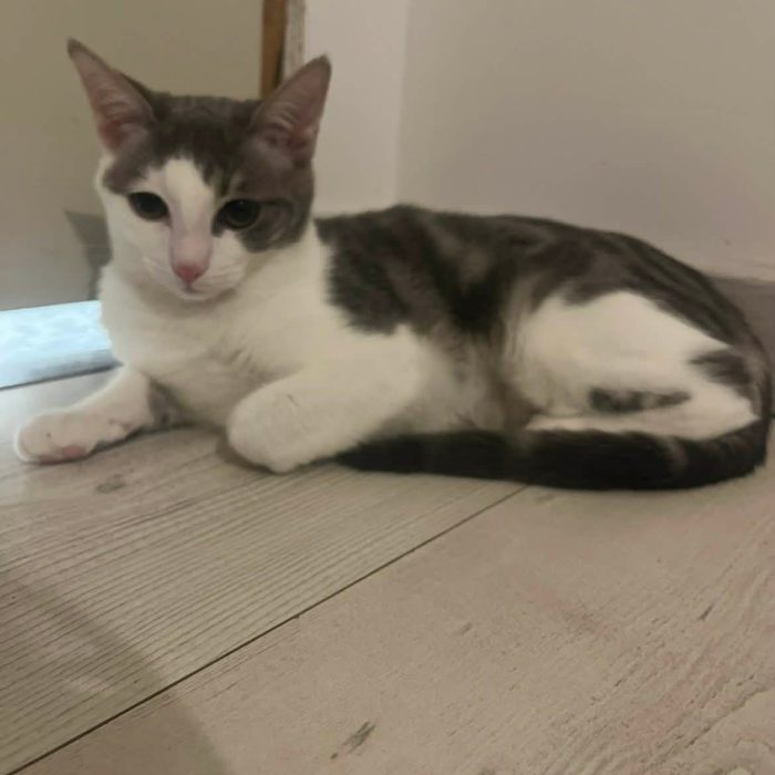 613475828_1251663487008642_2713878701015727444_n