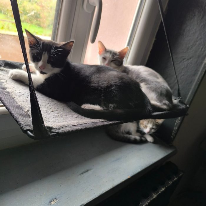 613729056_1251663627008628_8424954358199236864_n