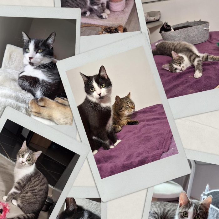 640330441_1287438930097764_1669174565833899239_n