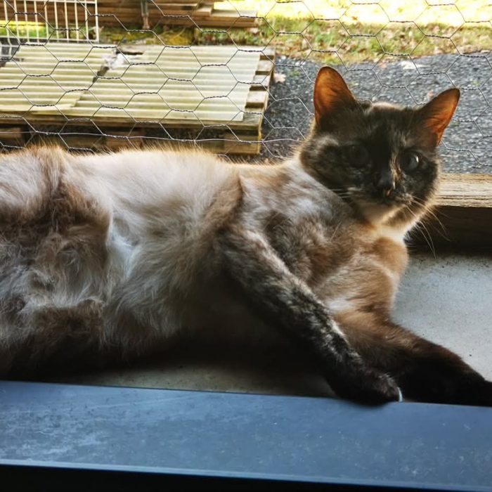 672678734_1333442355497421_452871262427347978_n