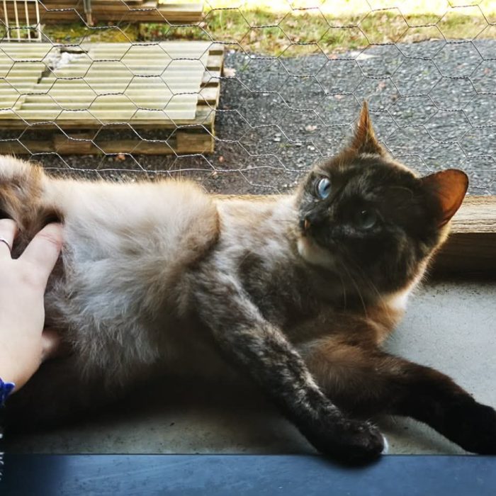 672684543_1333442555497401_216552606477287545_n