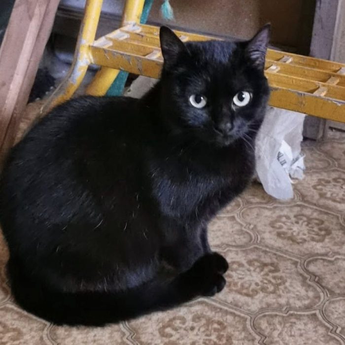 672685719_1333442498830740_1907312487195199033_n