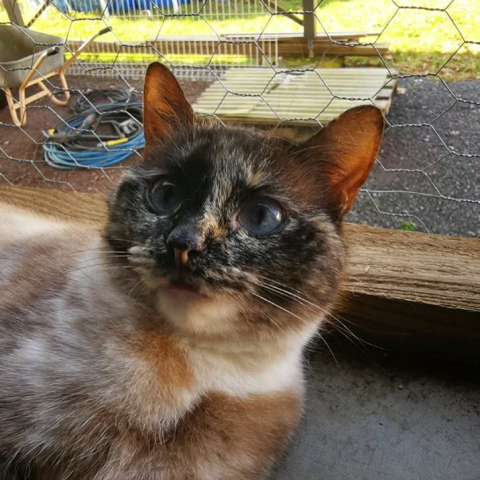 672686915_1333442518830738_67230635020733257_n