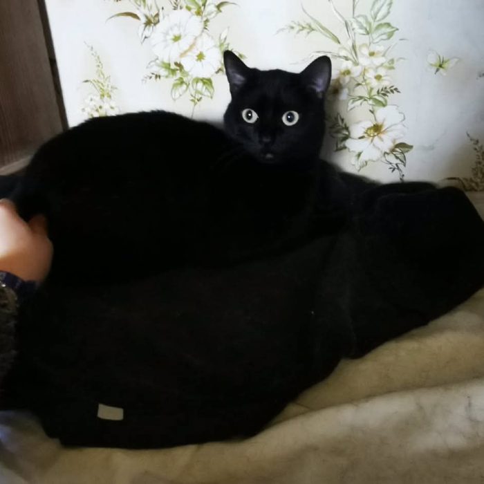 672687261_1333442368830753_8820462152826022829_n