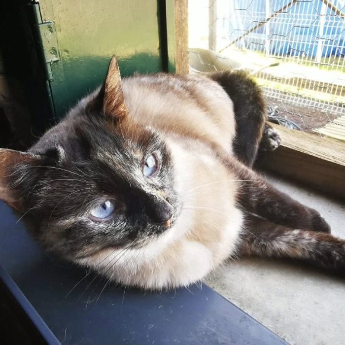 672687622_1333442505497406_3863566928578585410_n