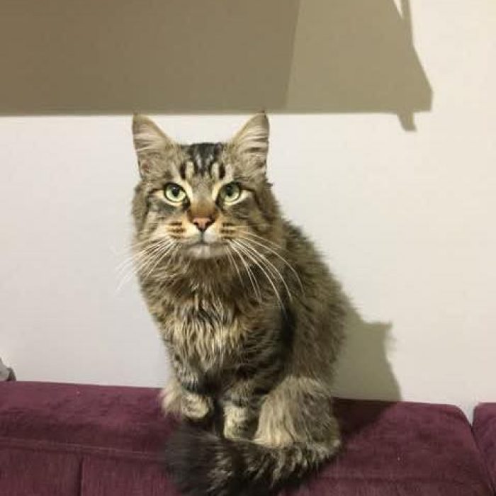 673542561_1332911908883799_5573190355390651423_n