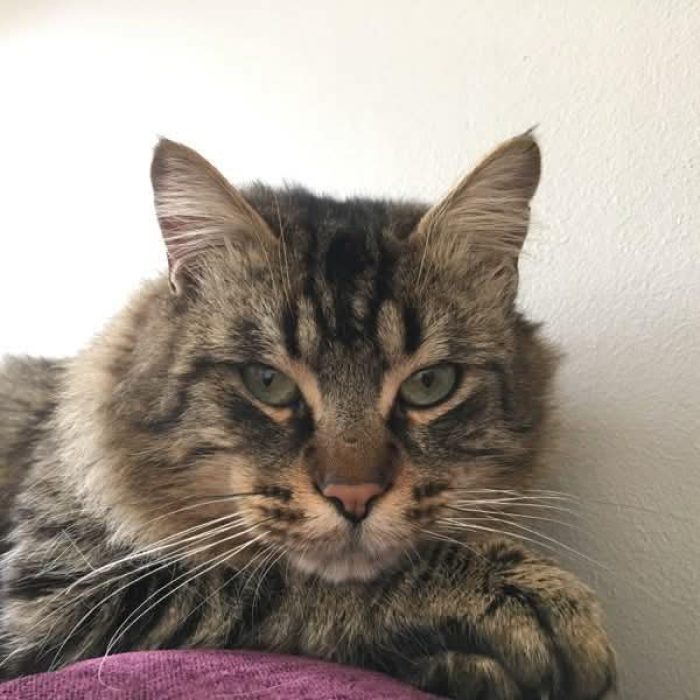 677155360_1332911945550462_2281481392227886469_n