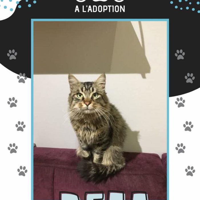 677860150_1332911952217128_6026947178919216440_n