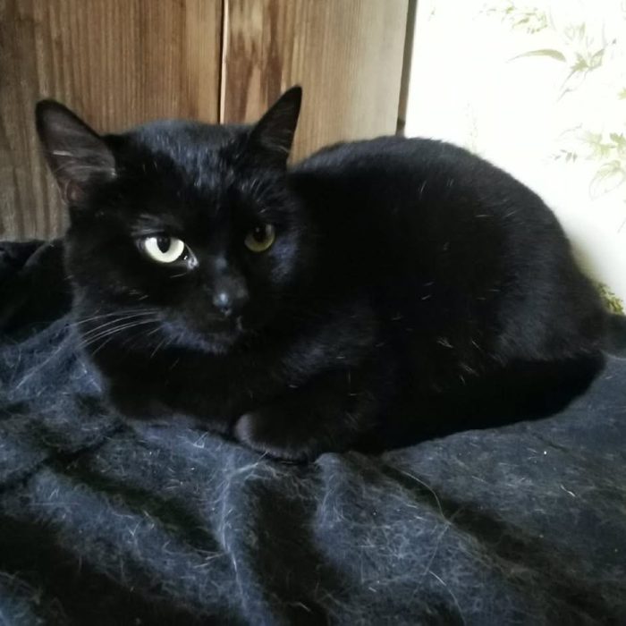 679017594_1333442382164085_4235607888170588808_n